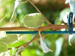 25 tuteurs en bambou refendu verts 0,40m