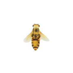 Accroche pour pots abeille et papillon