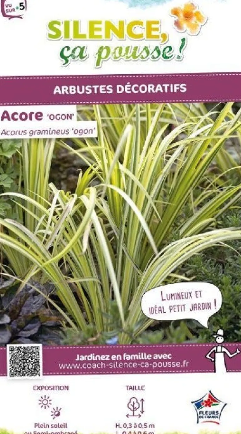 Acore "Ogon" Pot 2L SILENCE ÇA POUSSE