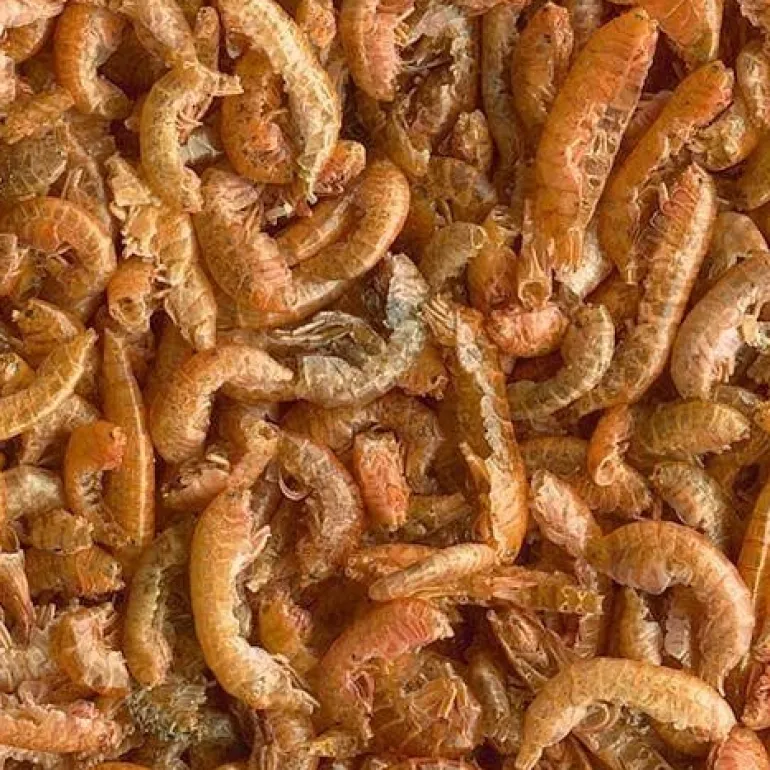 Aliment complet TetraGammarus pour tortues d'eau 1L