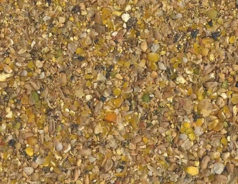 Aliment composé en farine pour poule pondeuse 25 kg