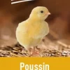 Aliment composé poussin 25kg PRODUIT DANS MA CAMPAGNE