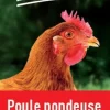 Aliment poule pondeuse 25 kg PRODUIT DANS MA CAMPAGNE