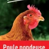 Aliment poule pondeuse 10 kg PRODUIT DANS MA CAMPAGNE