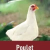 Aliment poulet de chair 25 kg PRODUIT DANS MA CAMPAGNE