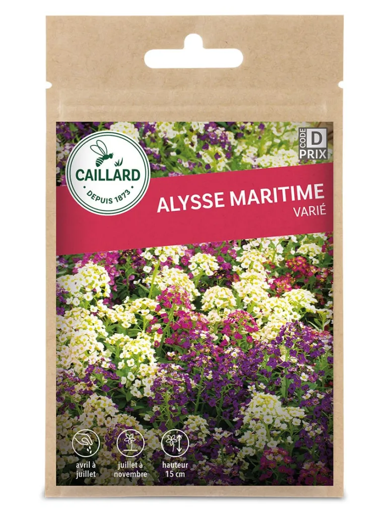 Alysse Maritime varié 0,20g CAILLARD
