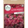 Alysse Odorant Tapis Royal 1g CAILLARD