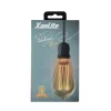 Ampoule LED ST64 hologramme E27 200lm 4W 1800k blanc chaud