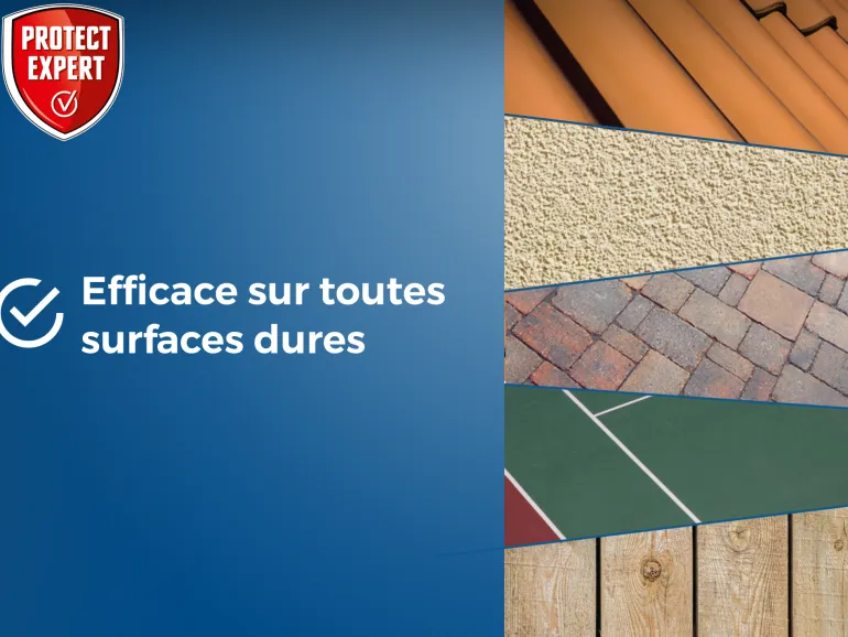Anti-algues et dépôts verts concentré 1L PROTECT EXPERT