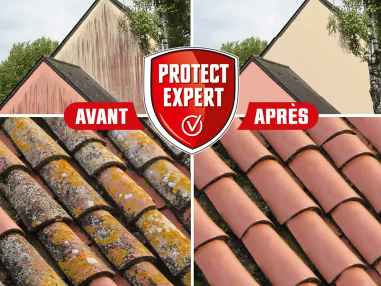 Anti-algues et dépôts verts concentré 1L PROTECT EXPERT