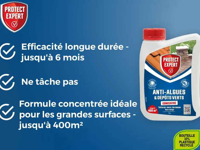 Anti-algues et dépôts verts concentré 1L PROTECT EXPERT