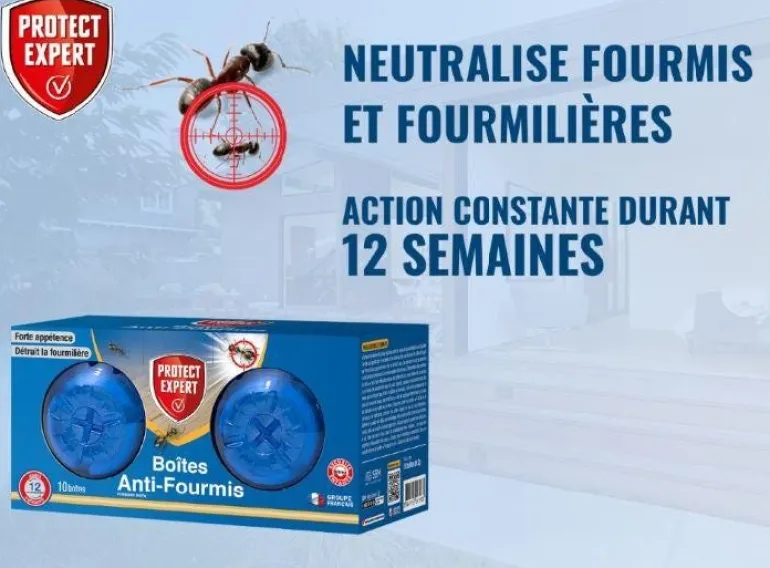 Appât fourmis 2g (x10 boîtes) PROTECT EXPERT