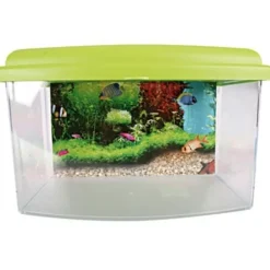 Aquarium Travel Box II medium 28 cm