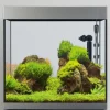Aquarium 160 L FLUVAL SIENA (produit seul)