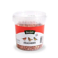 Arachides décortiquées - Seau de 500 g