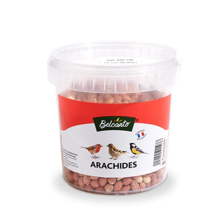 Arachides décortiquées - Seau de 500 g
