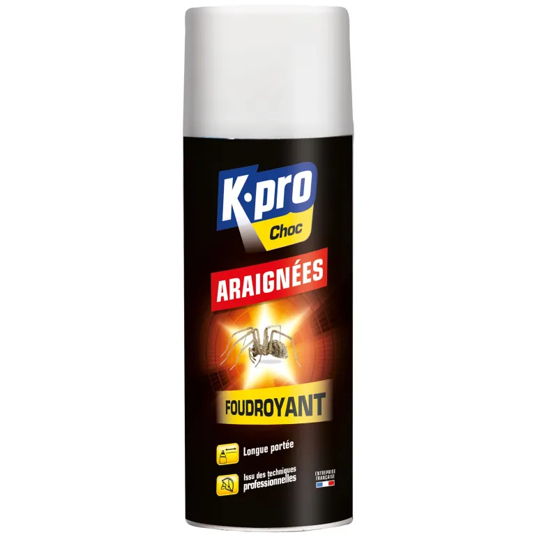 Aérosol fourdoyant spécial araignées 400ml K.PRO