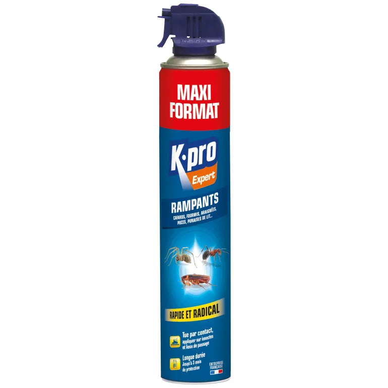 Aérosol expert tous rampants maxi format 500ml K.PRO