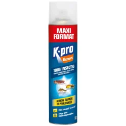 Aérosol tous insectes maxi format 600ml K.PRO