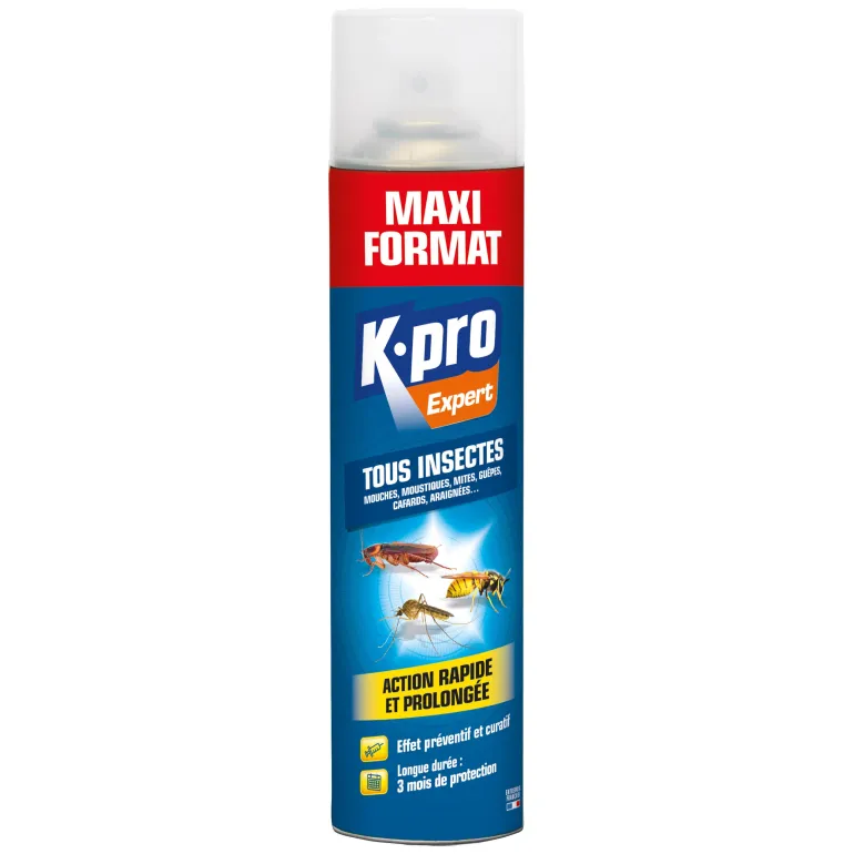 Aérosol tous insectes maxi format 600ml K.PRO