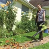Aspirateur-souffleur électrique RBV3000CSV