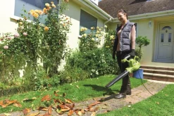 Aspirateur-souffleur électrique RBV3000CSV