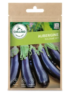 Aubergine Sultane Hf1 0,3g CAILLARD