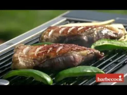 Barbecue nomade Karl au charbon de bois BARBECOOK