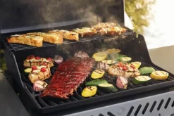 Barbecue à gaz Freestyle F365PGT-FR