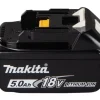 Batterie Makstar Li-Ion 18V/5 Ah avec témoin de charge