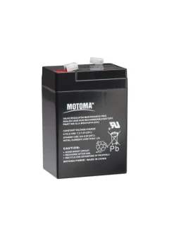 Batterie 6V 4Ah pour S10, S16, S20 GALLAGHER