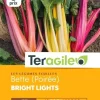 Bette (Poirée) Bright Lights 2g TERAGILE