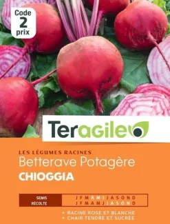 Betterave Potagère Chiggia 4g TERAGILE