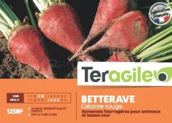 Betterave géante rouge 250g