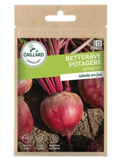 Betterave Potagère Astar Hf1 5g CAILLARD