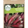 Betterave Potagère Cylindra 5g CAILLARD