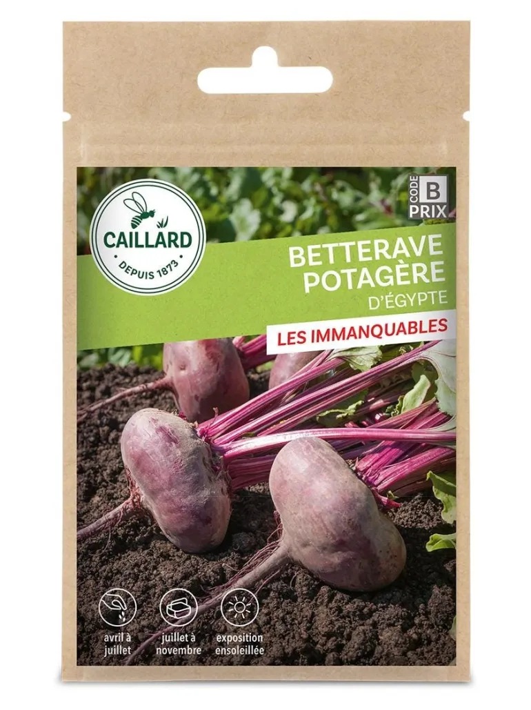 Betterave Potagère d'Égypte 5g CAILLARD