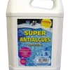 Bidon Super anti-algues 5L ECOGENE