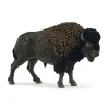 Bison