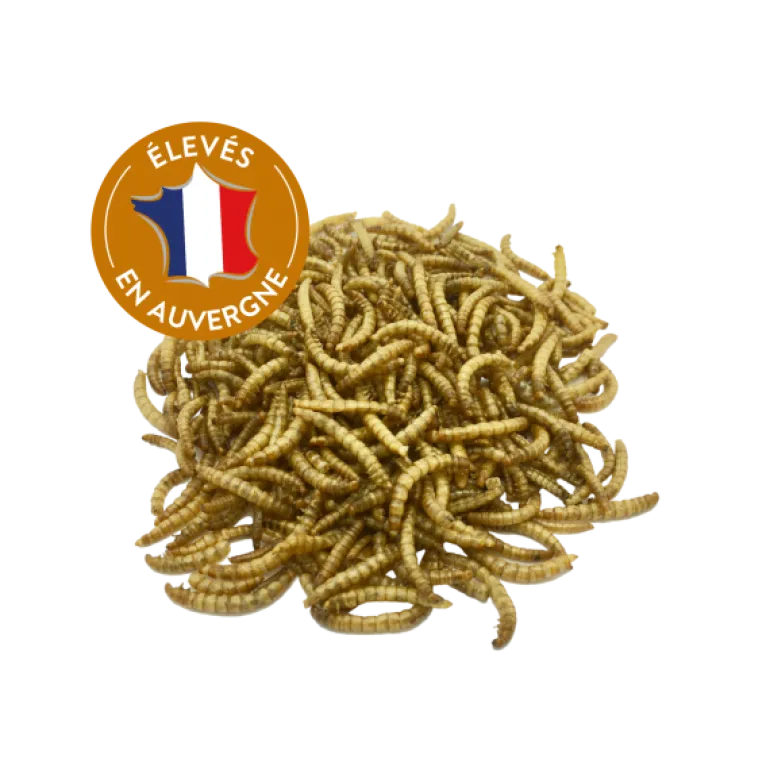 Bloc à picorer aux vers de farine