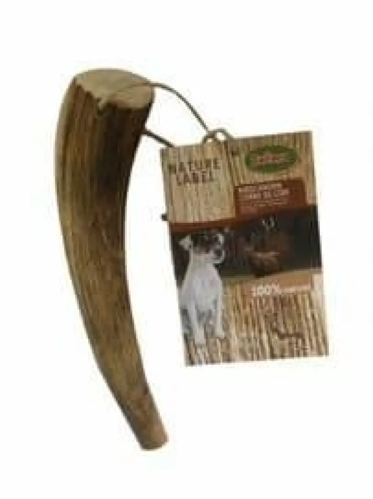 Bois de cerf pour chien moyen 80-120g BUBIMEX