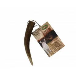 Bois de cerf pour petit chien 50-80g BUBIMEX