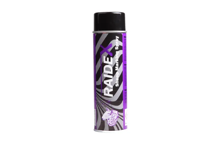 Bombe ovin 500 ml Violet