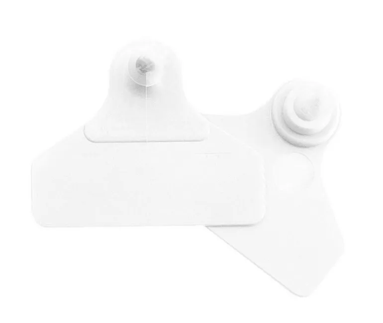 Boucle de marquage blanche FLEX Large/Large (x20)