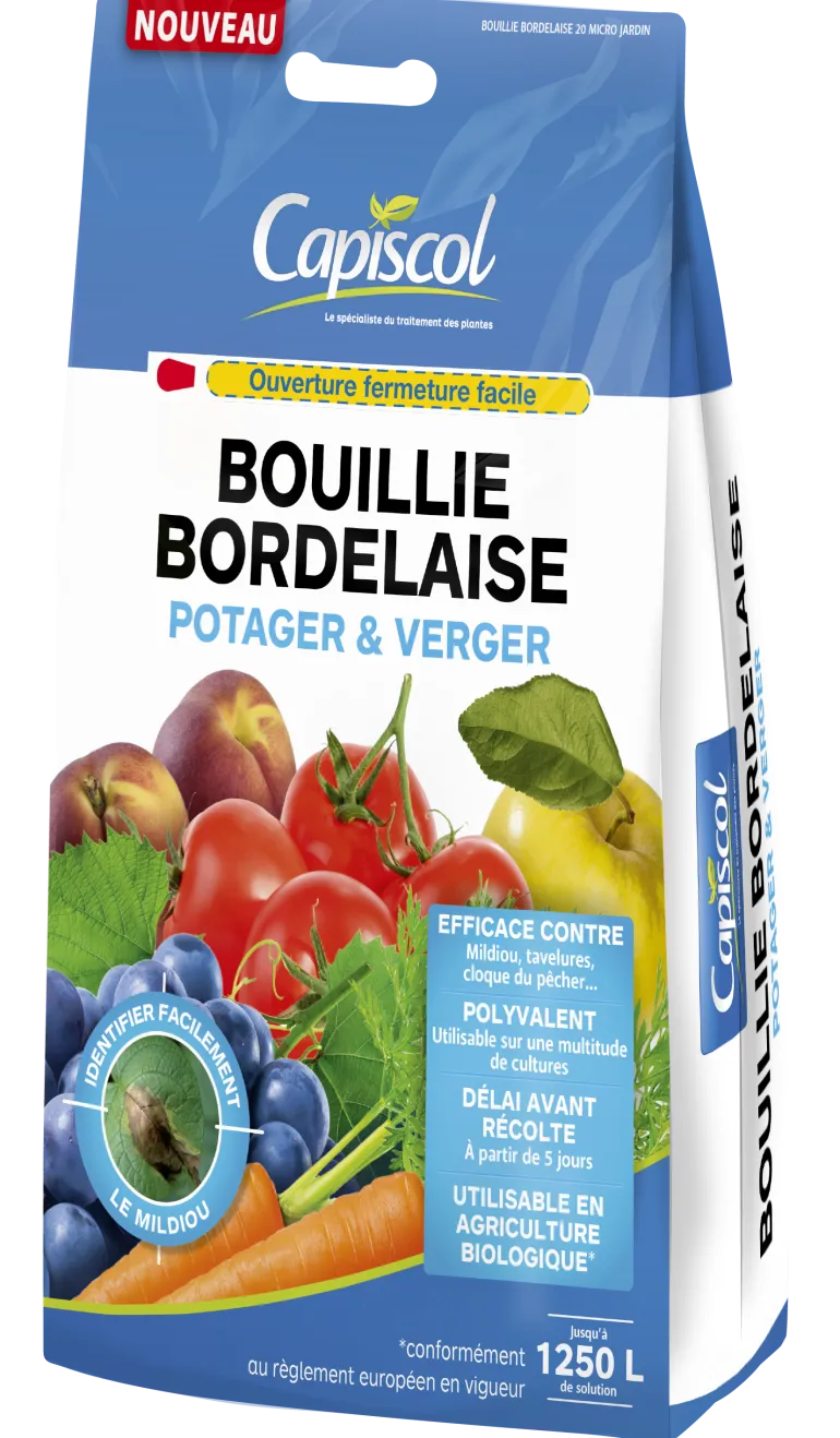 Bouille bordelaise colorée 5kg