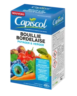Bouille bordelaise colorée 1kg