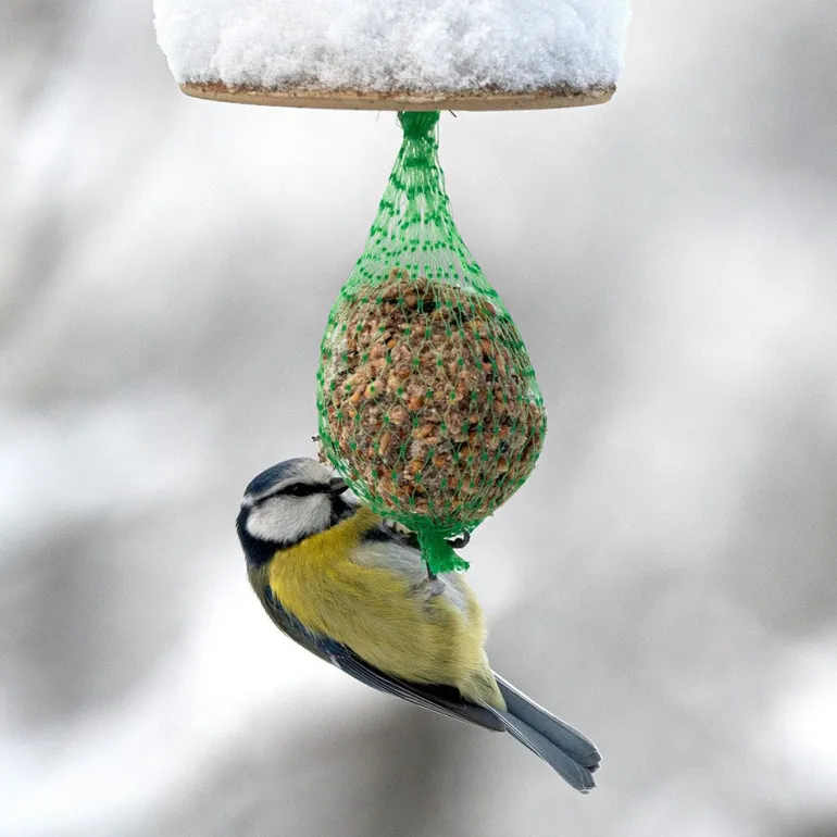 Boule de graisse avec filet pour oiseaux (x6)