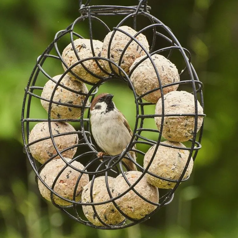 Boule de graisse sans filet pour oiseaux (x6)