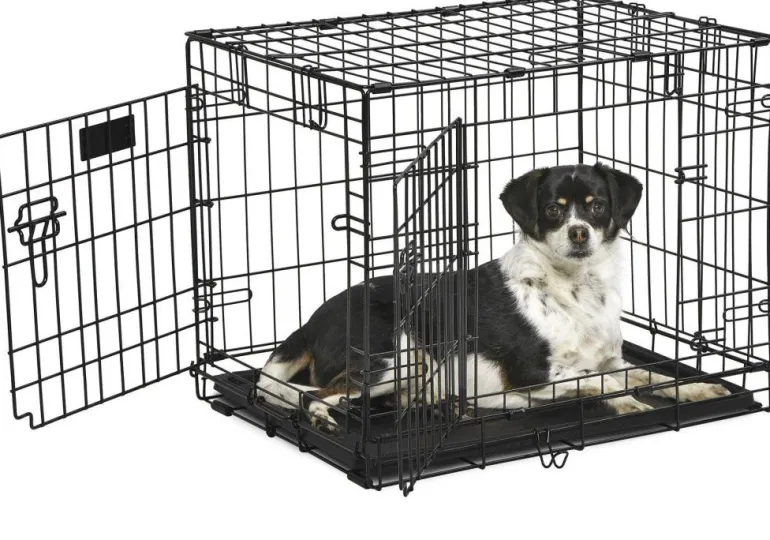 Box pliable pour chien Dog-Inn FERPLAST