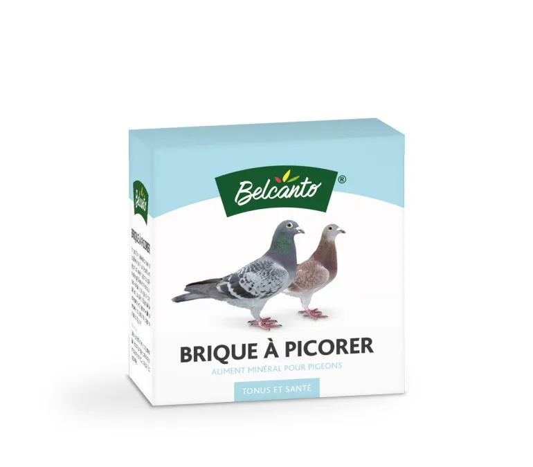 Brique à picorer pour Pigeons et Volailles - 450 g
